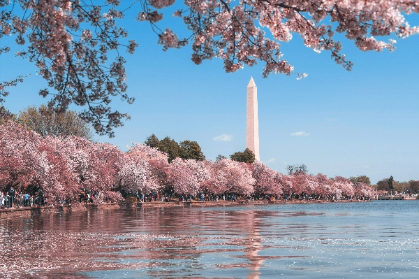 5 Days in Washington DC Itinerary