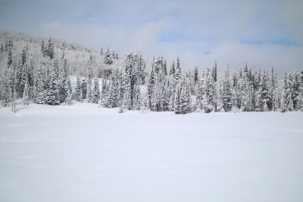 My Family Trip to Banff in December